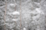 Snowing in winter. Blurred forest trees in the background.