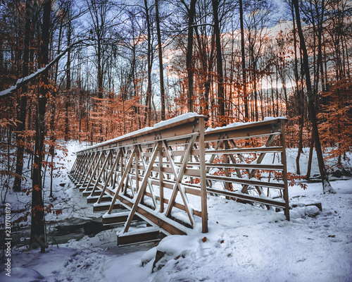 Bridge over frozen stream