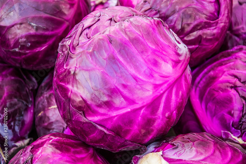 Red Cabbage at the Farmer's Market