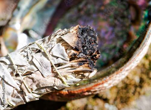 Smudging ritual using burning thick leafy bundle of white sage in bright polished rainbow abalone shell in forest preserve. 