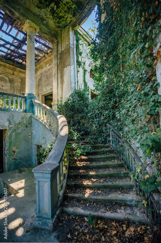 Ruined mansion interior overgrown by plants Overgrown by ivy spiral staircase and column. Nature and abandoned architecture, green post-apocalyptic concept