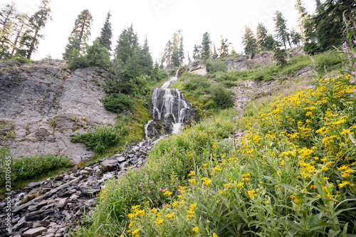 Vidae Falls located along the Rim Drive in Crater Lake National Park in Oregon. Wildflowers near the waterfall