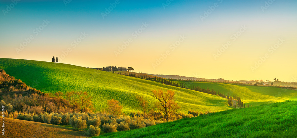 Fototapeta premium Maremma countryside at sunset. Bibbona, Tuscany, Italy.