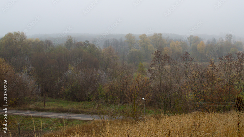 Landscape with cross street at foggy forest background on a cloudy day in golden autumn. Landscape with cross street at foggy forest background on a cloudy day in golden autumn.
