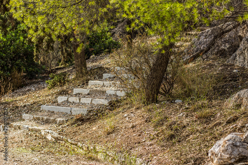 stones stairs path way place for walking in outdoor forest nature landscape