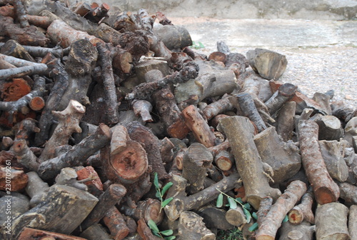 Wallpaper Mural Pile of Rustic Wood Logs Torontodigital.ca