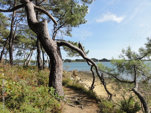 Ria d'Etel en Bretagne, France en août