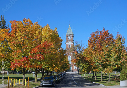 college campus with row of oak trees in fall colors