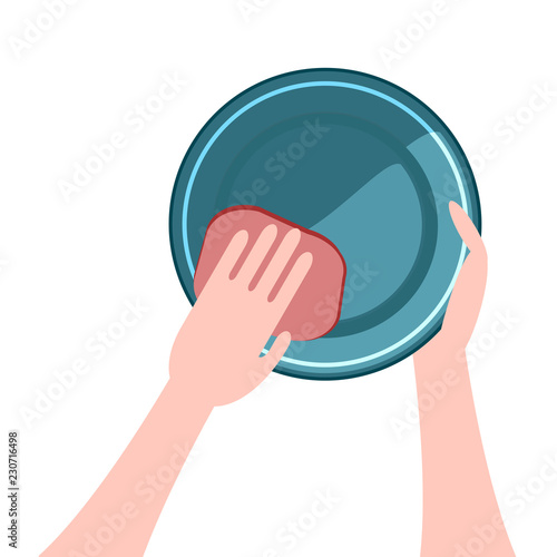 hands washing the dishes a plate
