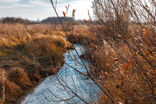 Autumn stream