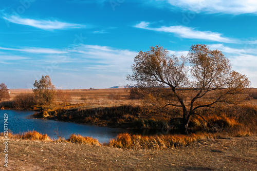 Landscape with tree