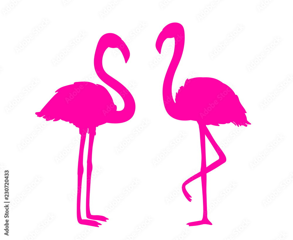 Fototapeta premium Flamingos on white. Colored cartoon birds. Bright image. Illustration for polygraphy, banners, t-shirts and textiles