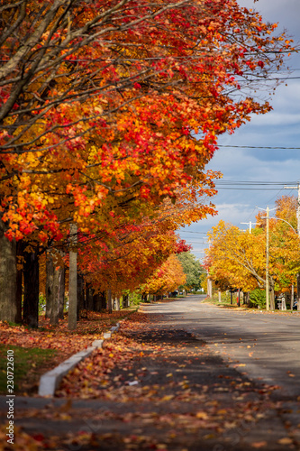 La belle région de Bellechasse photo