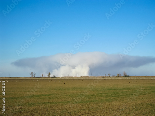 A pillar of smoke from burning rice straw on the field
