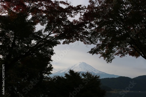 河口湖の富士山/美しい富士山