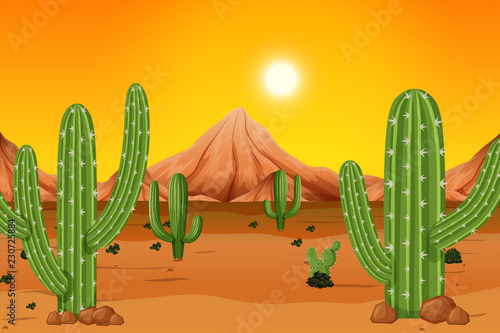 A hot desert background