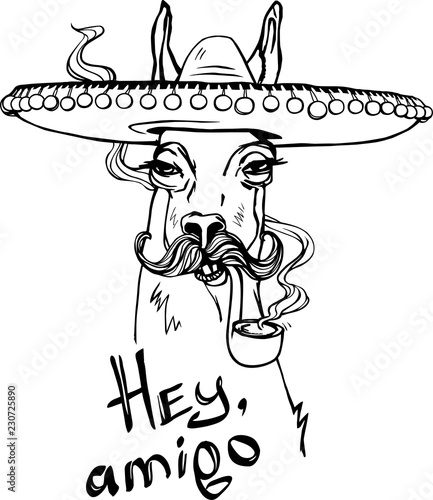 The stylized image of brutal lama with mustache, sombrero and tobacco pipe. Hand drawn vector illustration