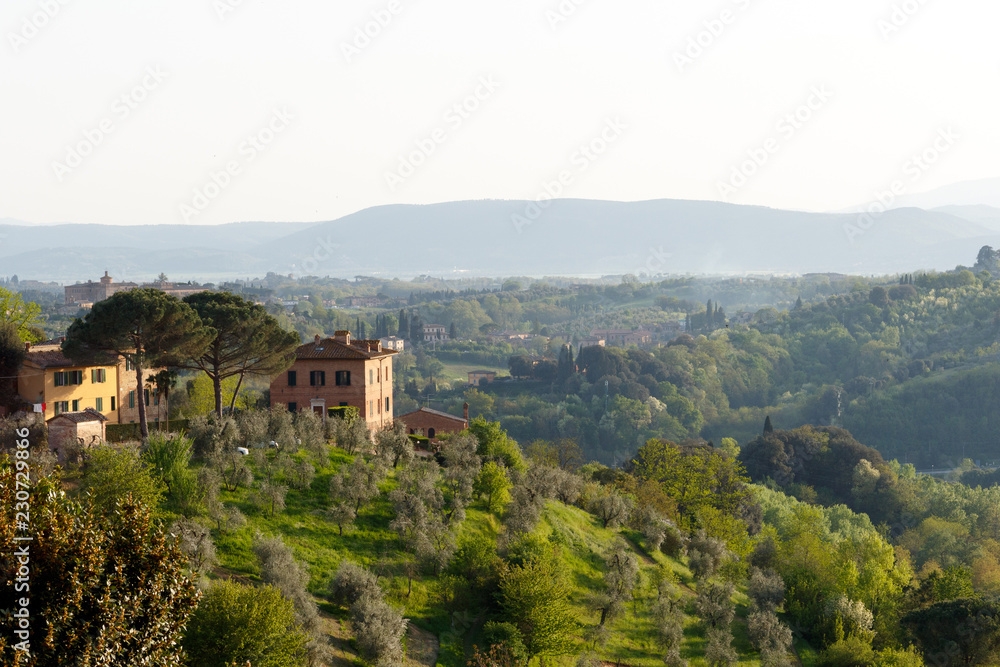 Village in the Tuscan countryside as seen from Siena, Italy, located in Tuscany  with an olive grove in the foreground and cypress trees in the background
