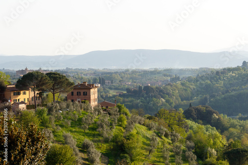 Village in the Tuscan countryside as seen from Siena, Italy, located in Tuscany with an olive grove in the foreground and cypress trees in the background
