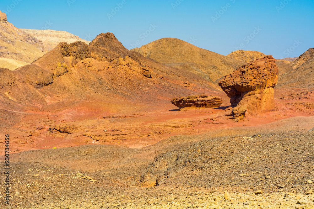 Fototapeta premium Whimsical Patterns of the Desert