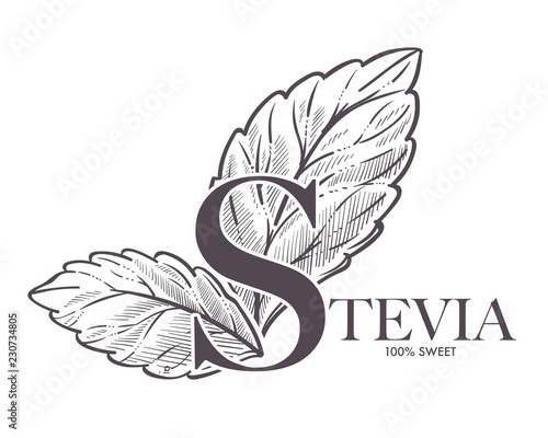 Stevia natural sweetener, leaf put in drink cup vector.