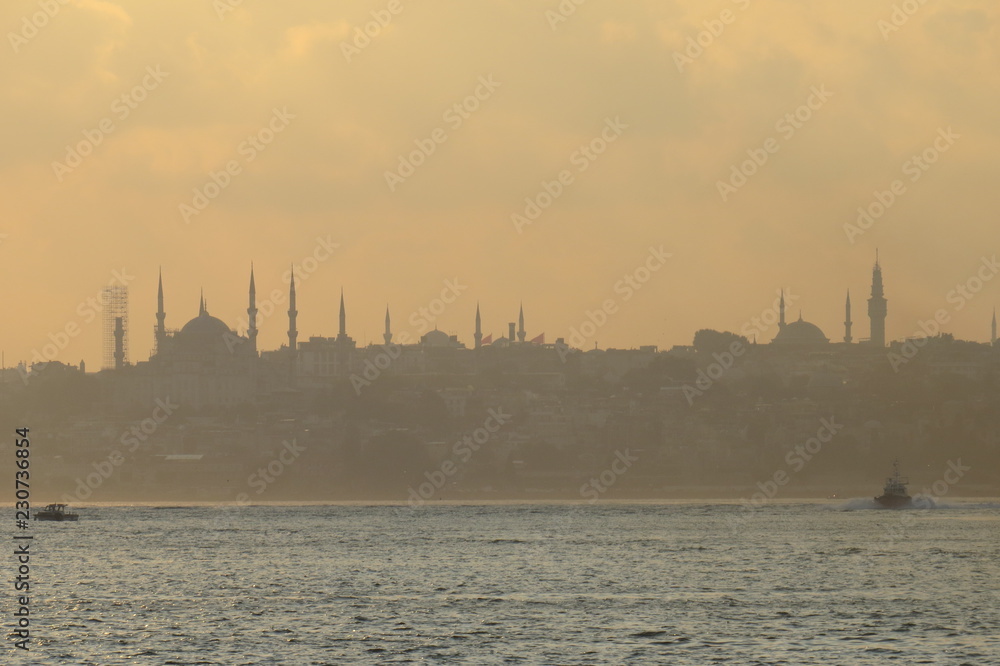 Naklejka premium mosque in istanbul