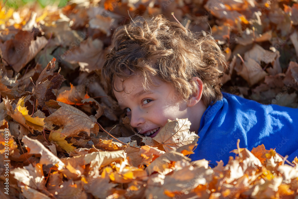 Boy playing with leaves in autumn. Boy playing with leaves in autumn.