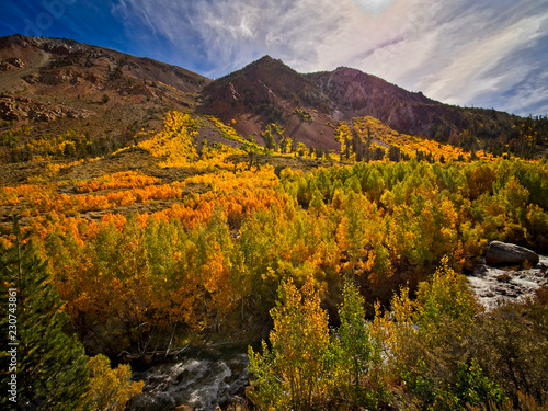 Eastern Sierra fall color