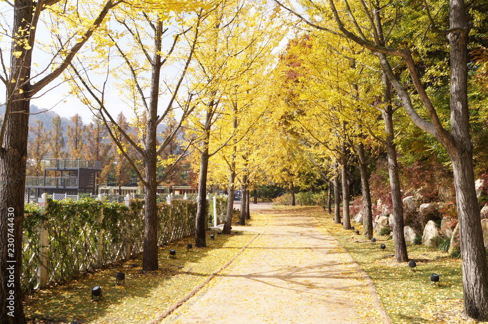 Autumn2 Autumn2
