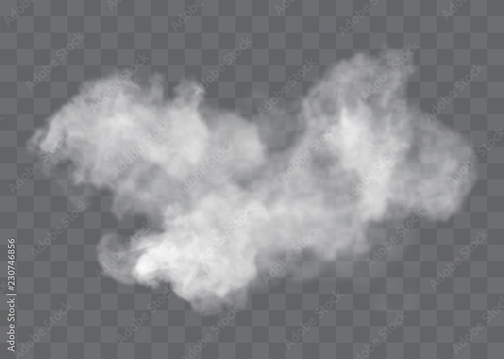 Transparent special effect stands out with fog or smoke. White cloud vector, fog or smog. Transparent special effect stands out with fog or smoke. White cloud vector, fog or smog.