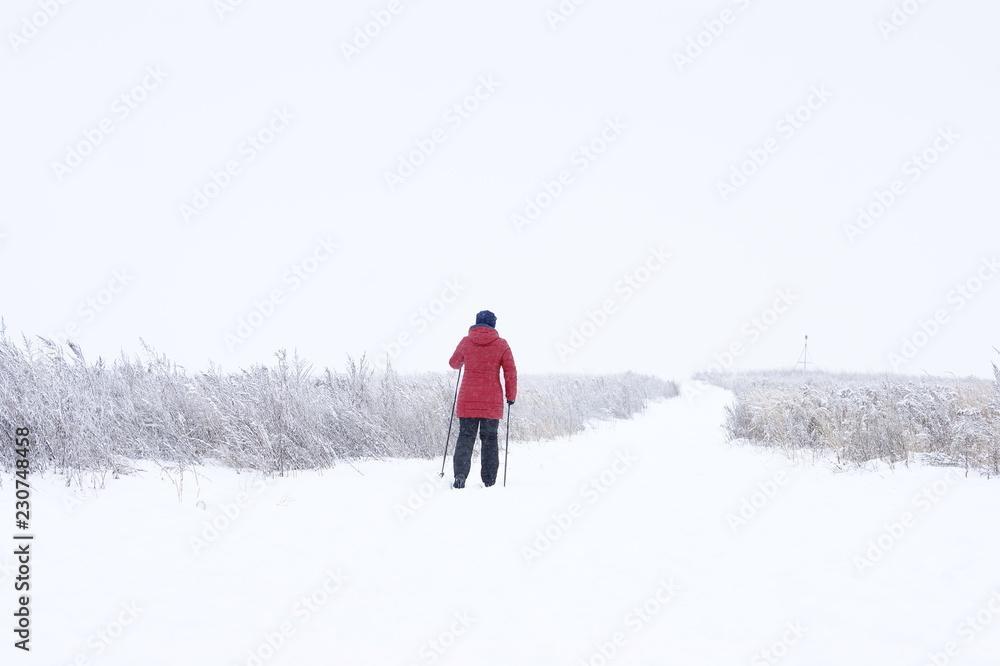 Man goes skiing in the wild