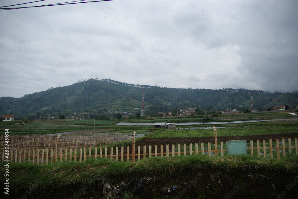 Scenic view seen inside van from Bandung to Tangkuban Perahu
