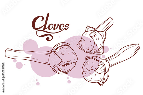 hand drawn cloves plant, spicy ingredient, cloves logo, healthy organic food, spice clove isolated on white background, culinary herbs, label, food, natural healthy food, vector graphic to design