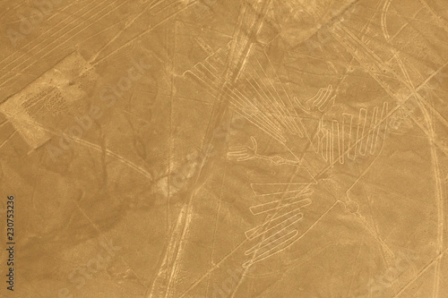Photos The condor is one of the largest animal geoglyphs on the ground in the Nazca desert, measuring approximately 134 metres in length