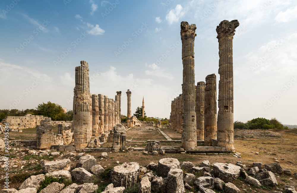 Marble columns of Zeus temple at Uzuncaburc Ancient city. Uzuncaburc antique city is in the rural area of Silifke district. Mersin, Turkey