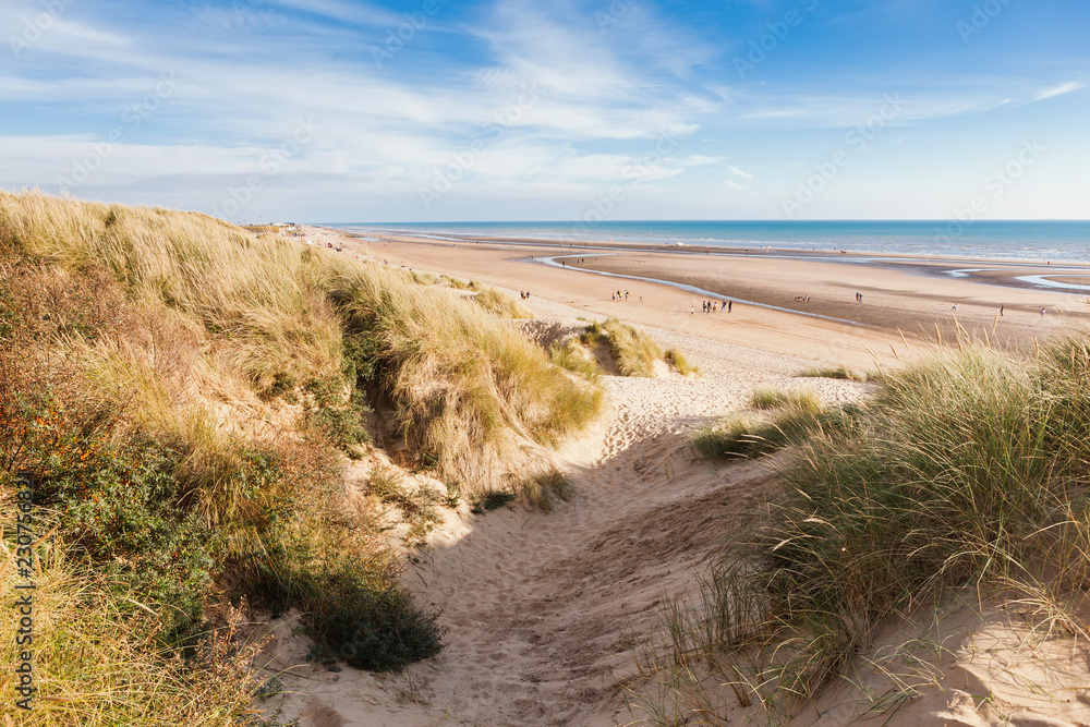 Camber Sands, sandy beach at the village of Camber, East Sussex near Rye, England, the only sand dune system in East Sussex. View of the dunes, grass, sea, selective focus Camber Sands, sandy beach at the village of Camber, East Sussex near Rye, England, the only sand dune system in East Sussex. View of the dunes, grass, sea, selective focus