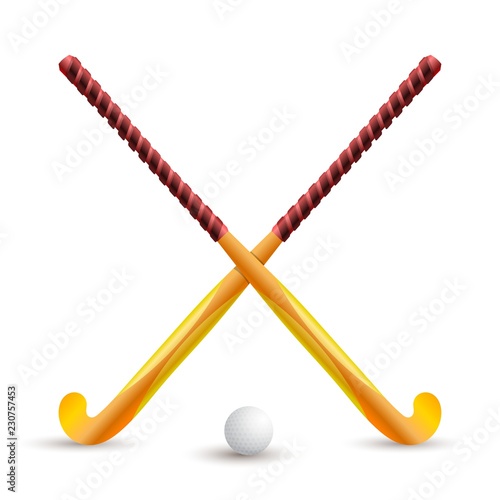 Field hockey. Sports supplies for playing on a white background. Hockey stick and ball. Crossed sticks for hockey. Sports competition on the grass. Vector illustration
