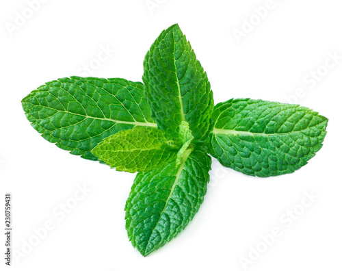 Fresh mint leaves isolated on white background. Raw Mint, spearmint close up