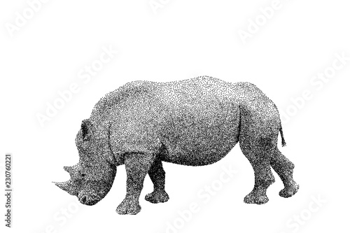 Rhinoceros. Isolated on whi...