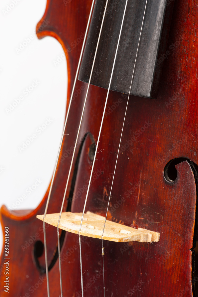 Violin close up isolated on white background Violin close up isolated on white background