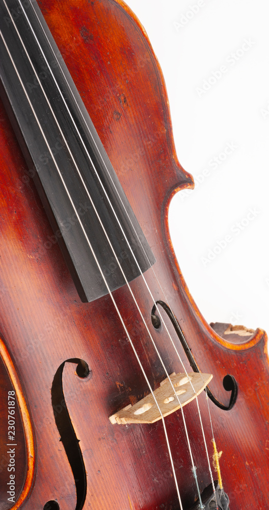 Violin close up isolated on white background Violin close up isolated on white background