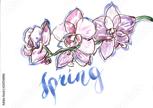 Spring watercolor blowing flowers illustration