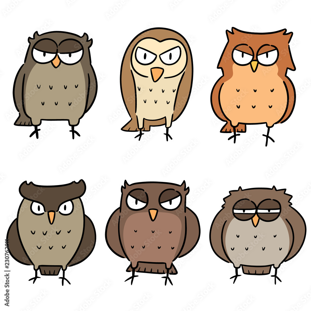 Obraz premium vector set of owls