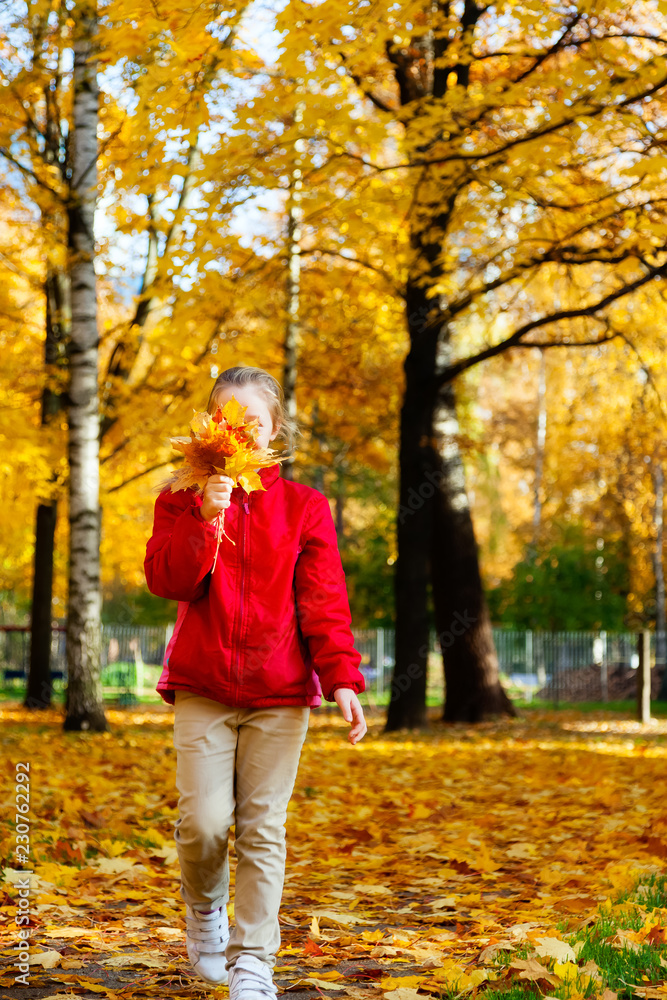Girl walks in the Park in autumn Girl walks in the Park in autumn