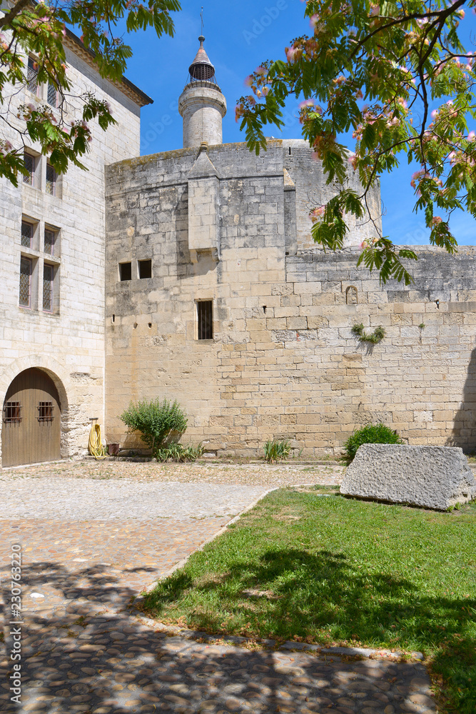 Fortification and tower of Constance of Aigues Mortes and an albizia tree in bloom, French city walls in the Gard department in the Occitanie region of southern France