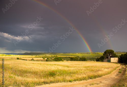 paisaje natural con cielo