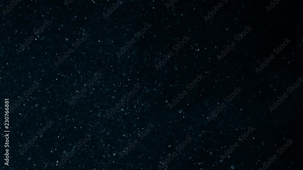 Natural Organic Dust Particles Floating On Black Background. Glittering Sparkling Particles Randomly Spin In The Air With Bokeh. Dynamic Particles With Fast And Slow Motion. Shimmering Dust In Space. Natural Organic Dust Particles Floating On Black Background. Glittering Sparkling Particles Randomly Spin In The Air With Bokeh. Dynamic Particles With Fast And Slow Motion. Shimmering Dust In Space.
