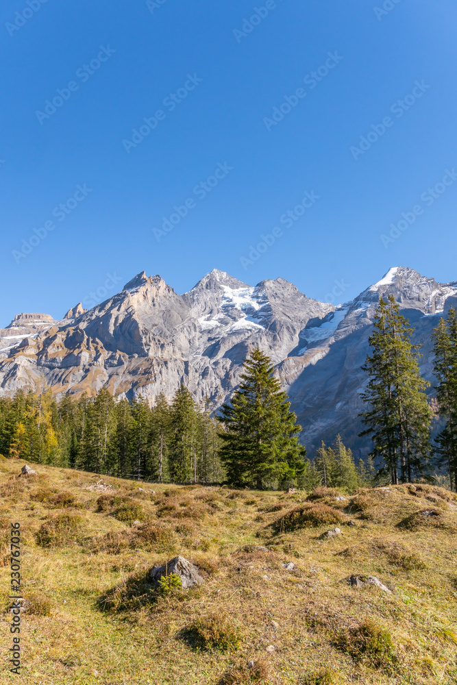 Wandern im Berner Oberland mit Blick auf die Schweizer Alpen - Kanton Bern, Schweiz