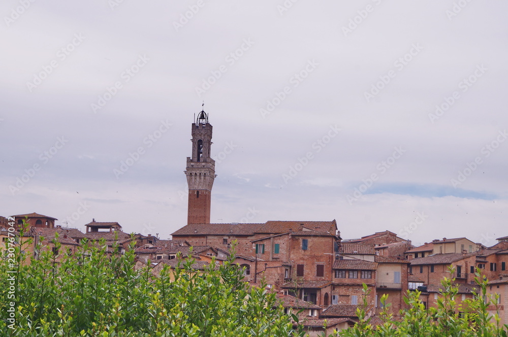 Landscape of Siena, Italy