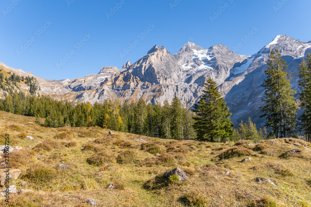Fototapeta premium Wandern im Berner Oberland mit Blick auf die Schweizer Alpen - Kanton Bern, Schweiz